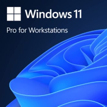Windows 11 Pro for Workstations - ווינדוס 11 פרו עבור תחנות עבודה ריטייל